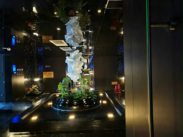 1ff8fadc31c8e52caf674f4be9e54f36